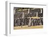 The Inca Ruins of Sacsayhuaman, UNESCO World Heritage Site, Peru, South America-Peter Groenendijk-Framed Premium Photographic Print