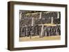 The Inca Ruins of Sacsayhuaman, UNESCO World Heritage Site, Peru, South America-Peter Groenendijk-Framed Photographic Print