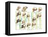 The Increase in Hominid Cranial Capacity over Time. Evolution-Encyclopaedia Britannica-Framed Stretched Canvas