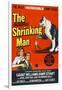 The Incredible Shrinking Man, 1957-null-Framed Art Print