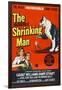 The Incredible Shrinking Man, 1957-null-Framed Art Print