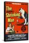 The Incredible Shrinking Man, 1957-null-Framed Stretched Canvas