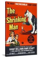 The Incredible Shrinking Man, 1957-null-Stretched Canvas