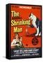 The Incredible Shrinking Man, 1957-null-Framed Stretched Canvas