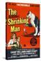 The Incredible Shrinking Man, 1957-null-Stretched Canvas