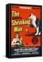 The Incredible Shrinking Man, 1957-null-Framed Stretched Canvas