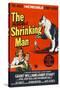 The Incredible Shrinking Man, 1957-null-Stretched Canvas