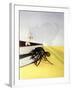 The Incredible Shrinking Man, 1957-null-Framed Giclee Print