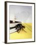 The Incredible Shrinking Man, 1957-null-Framed Giclee Print