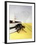 The Incredible Shrinking Man, 1957-null-Framed Giclee Print