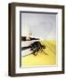 The Incredible Shrinking Man, 1957-null-Framed Giclee Print