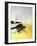 The Incredible Shrinking Man, 1957-null-Framed Giclee Print