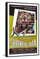 The Incredible Shrinking Man, 1957-null-Framed Stretched Canvas