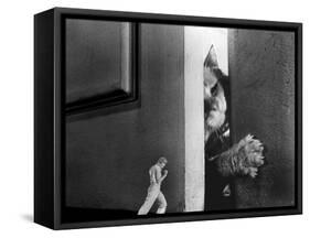 The Incredible Shrinking Man, Grant Williams, 1957-null-Framed Stretched Canvas