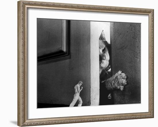 The Incredible Shrinking Man, Grant Williams, 1957-null-Framed Photo