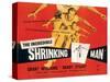 The Incredible Shrinking Man, Grant Williams, 1957-null-Stretched Canvas