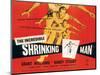The Incredible Shrinking Man, Grant Williams, 1957-null-Mounted Art Print