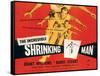 The Incredible Shrinking Man, Grant Williams, 1957-null-Framed Stretched Canvas