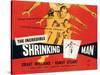 The Incredible Shrinking Man, Grant Williams, 1957-null-Stretched Canvas