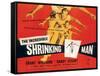 The Incredible Shrinking Man, Grant Williams, 1957-null-Framed Stretched Canvas