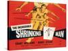 The Incredible Shrinking Man, Grant Williams, 1957-null-Stretched Canvas