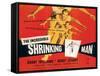 The Incredible Shrinking Man, Grant Williams, 1957-null-Framed Stretched Canvas