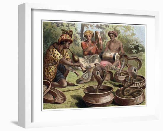 The Indian Cobra by Alfred Edmund Brehm-Stefano Bianchetti-Framed Giclee Print