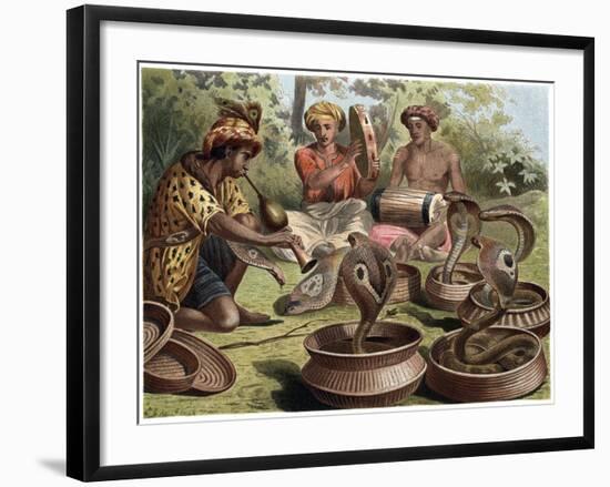 The Indian Cobra by Alfred Edmund Brehm-Stefano Bianchetti-Framed Giclee Print