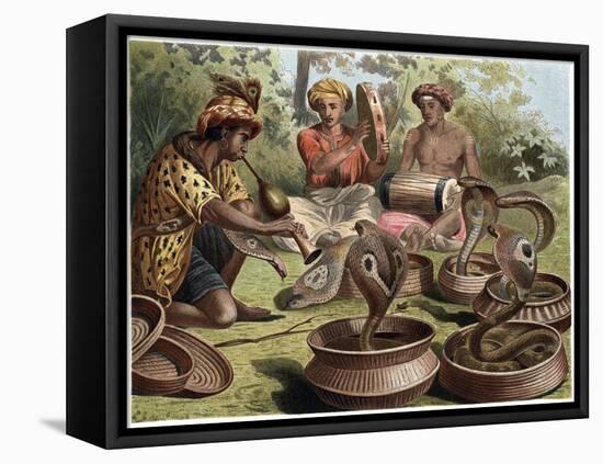 The Indian Cobra by Alfred Edmund Brehm-Stefano Bianchetti-Framed Stretched Canvas