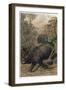 The Indian Rhinoceros by Alfred Edmund Brehm-Stefano Bianchetti-Framed Giclee Print