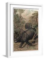 The Indian Rhinoceros by Alfred Edmund Brehm-Stefano Bianchetti-Framed Giclee Print