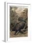 The Indian Rhinoceros by Alfred Edmund Brehm-Stefano Bianchetti-Framed Giclee Print