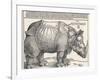 The Indian Rhinoceros is the Largest of the Asian Spiecies-Albrecht Dürer-Framed Photographic Print