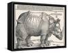 The Indian Rhinoceros is the Largest of the Asian Spiecies-Albrecht Dürer-Framed Stretched Canvas