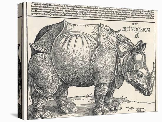 The Indian Rhinoceros is the Largest of the Asian Spiecies-Albrecht Dürer-Stretched Canvas