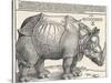 The Indian Rhinoceros is the Largest of the Asian Spiecies-Albrecht Dürer-Stretched Canvas