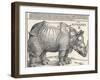 The Indian Rhinoceros is the Largest of the Asian Spiecies-Albrecht Dürer-Framed Photographic Print