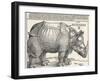 The Indian Rhinoceros is the Largest of the Asian Spiecies-Albrecht Dürer-Framed Photographic Print