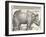 The Indian Rhinoceros is the Largest of the Asian Spiecies-Albrecht Dürer-Framed Photographic Print