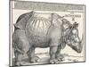The Indian Rhinoceros is the Largest of the Asian Spiecies-Albrecht Dürer-Mounted Photographic Print
