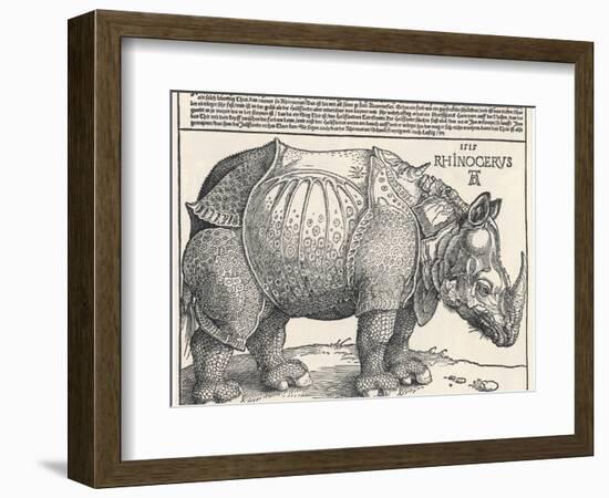 The Indian Rhinoceros is the Largest of the Asian Spiecies-Albrecht Dürer-Framed Photographic Print