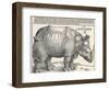 The Indian Rhinoceros is the Largest of the Asian Spiecies-Albrecht Dürer-Framed Photographic Print