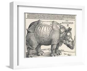 The Indian Rhinoceros is the Largest of the Asian Spiecies-Albrecht Dürer-Framed Photographic Print