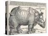 The Indian Rhinoceros is the Largest of the Asian Spiecies-Albrecht Dürer-Stretched Canvas