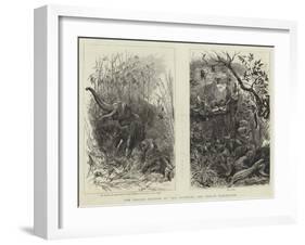 The Indian Section of the Colonial and Indian Exhibition-null-Framed Giclee Print