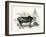 The Indian Zebu (Bos Indicus). Sometimes known as Humped Cattle or Brahmin Cattle-null-Framed Giclee Print