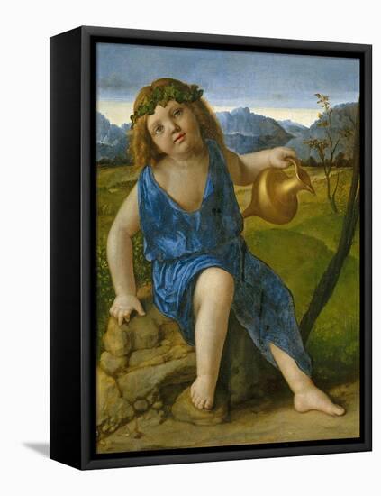 The Infant Bacchus, C.1505-10-Giovanni Bellini-Framed Stretched Canvas