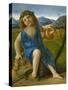 The Infant Bacchus, C.1505-10-Giovanni Bellini-Stretched Canvas