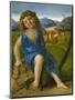 The Infant Bacchus, C.1505-10-Giovanni Bellini-Mounted Giclee Print