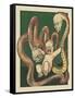 The Infant Hercules And The Standard Oil Serpents-Frank A. Nankivell-Framed Stretched Canvas